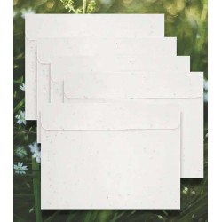 Set 5 plantbare enveloppe C5 220x155 mm