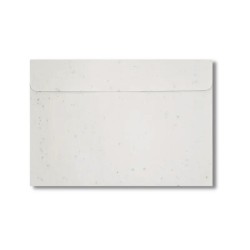 Zaadpapieren enveloppe C5 220x155 mm